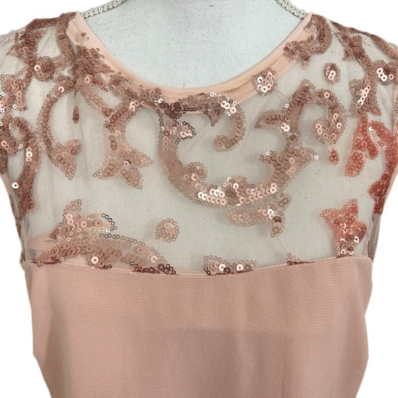 Blu Sage Womens Dusty Rose Dress Size 16P Sequin Upper Sleeveless Open Back - Picture 2 of 5